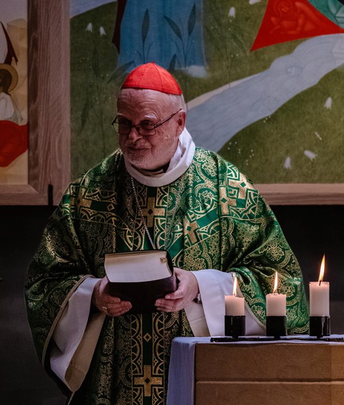 Kardinal Med Katolsk Studiebibel Lignell